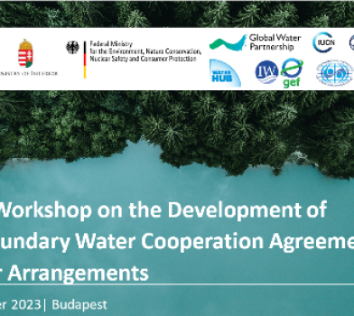 Глобальный семинар по разработке соглашений или других договоренностей о сотрудничестве в области трансграничных водных ресурсов