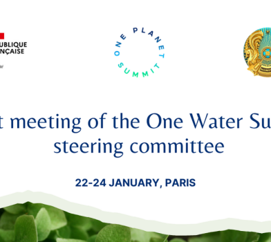 First meeting of the One Water Summit Steering Committee